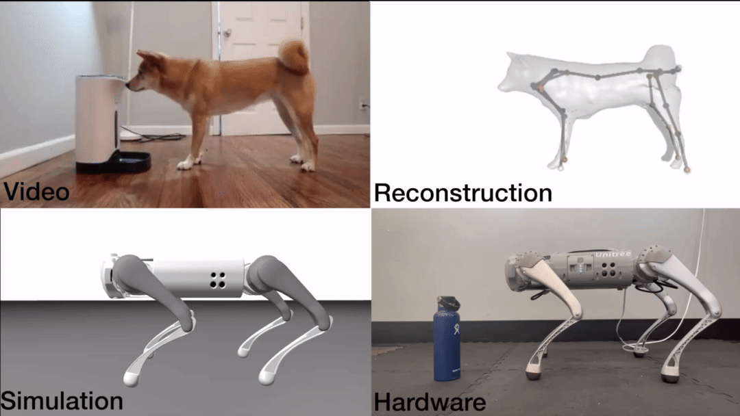 Motion Reconstruction and Imitation from Monocular Videos